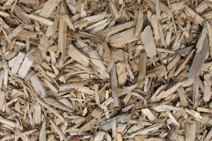 biomass boilers Chirnside